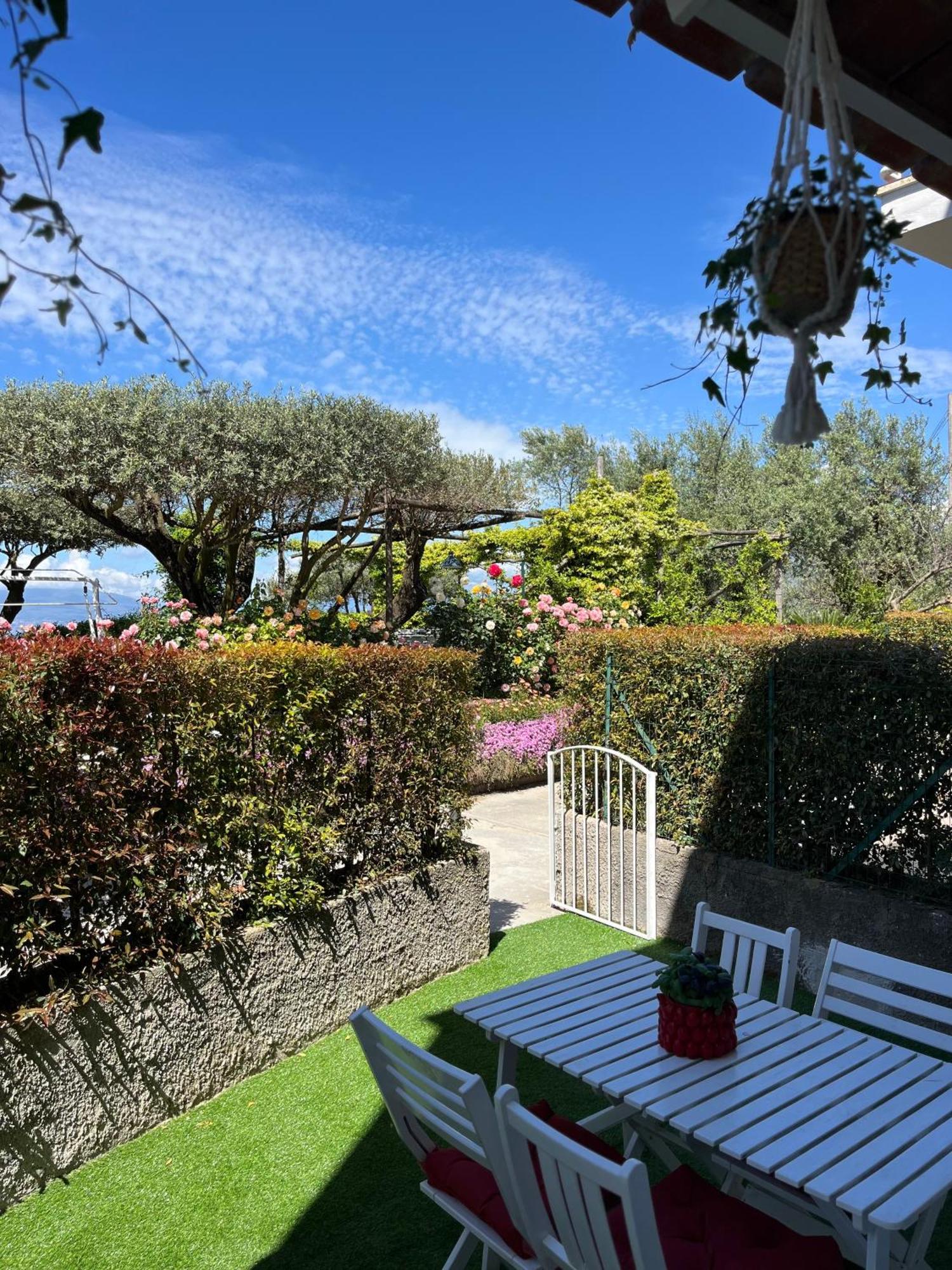 מלון Sorrento Garden מראה חיצוני תמונה