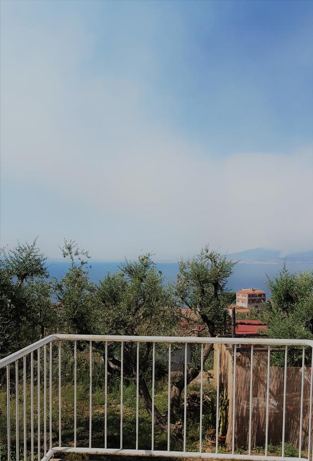 מלון Sorrento Garden מראה חיצוני תמונה