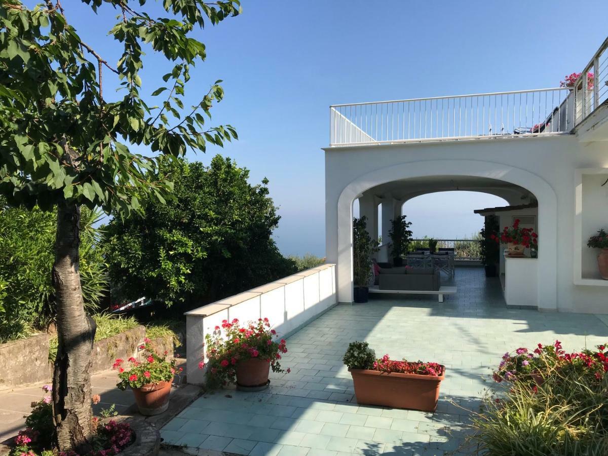 מלון Sorrento Garden מראה חיצוני תמונה
