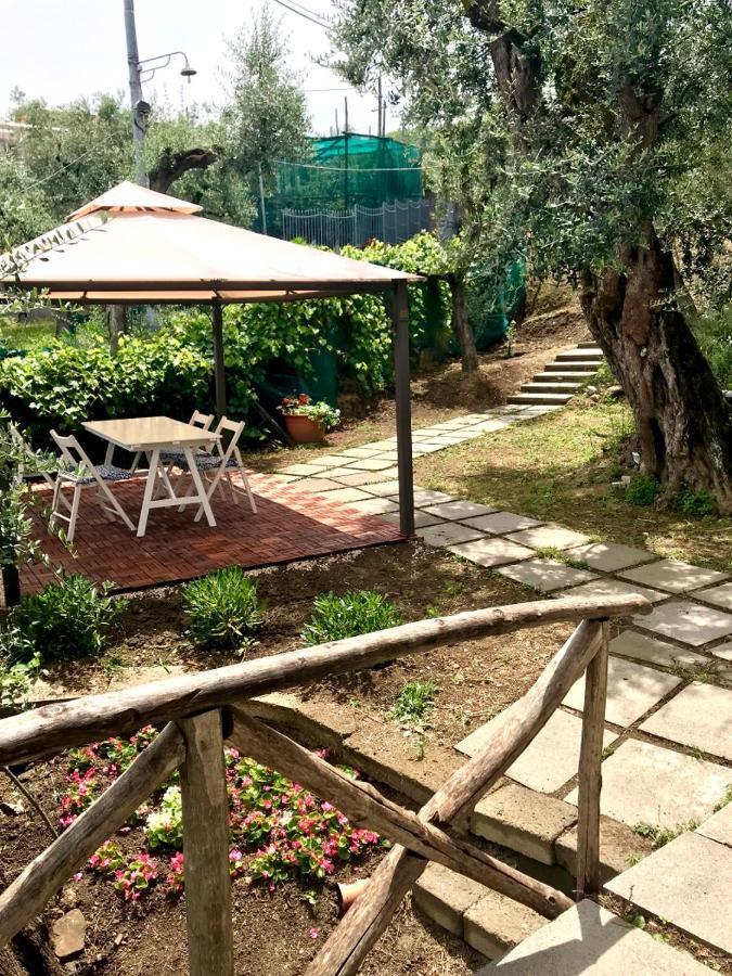 מלון Sorrento Garden מראה חיצוני תמונה