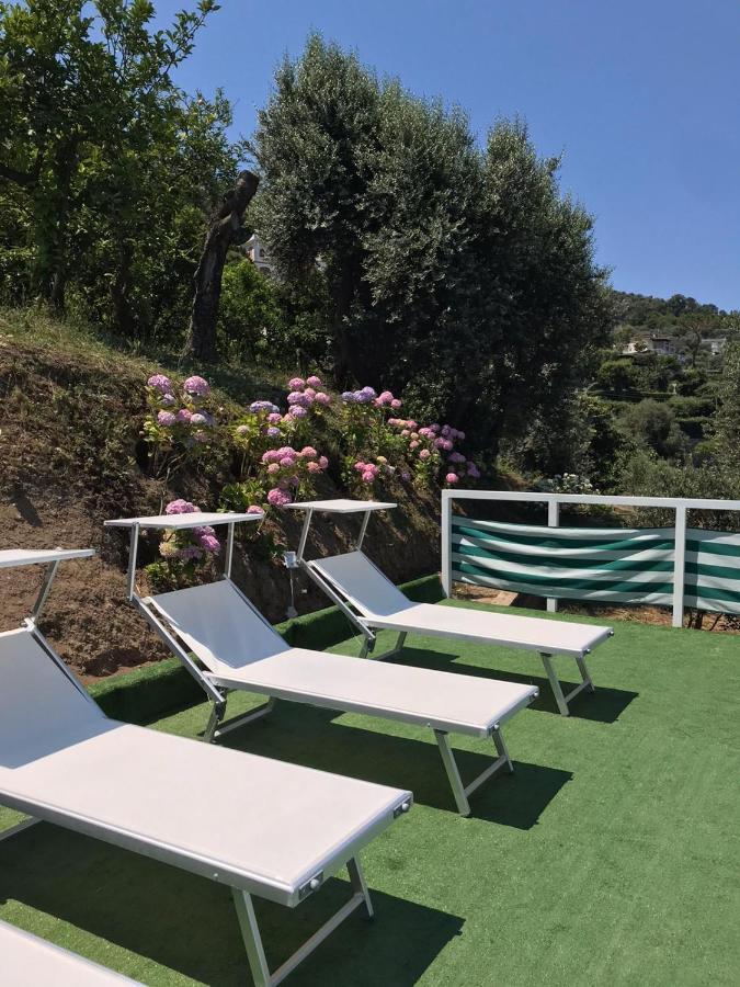 מלון Sorrento Garden מראה חיצוני תמונה