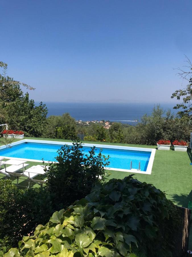 מלון Sorrento Garden מראה חיצוני תמונה